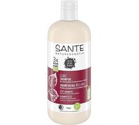 SANTE Naturkosmetik Shampooing brillant Feuille de bouleau bio et protéines végétales - Soin naturel pour cheveux brillants de la racine aux pointes - Avec distributeur de pompe, végétalien - 500 ml