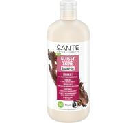 Sante Glossy Shine Shampoo - 500 ml