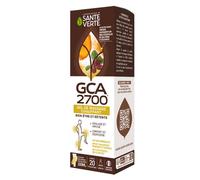 Santé Verte GCA 2700 Gel De Massage Chauffant 100ml