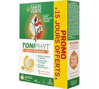 Santé Verte Toniphyt Boost Énergie Comprimés Effervescent