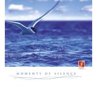 Santec Music Orchestra - Moments of Silence : Se détendre au son de harpe, de flûte de pan, de violons, du piano