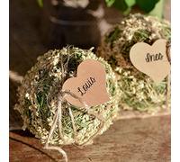 SANTEX - Santex - 10 Marque places coeurs