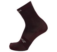 Chaussettes Santini x Eroica Quiete rouge bordeaux - XL-XXL