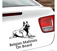 SANTPOT 21 Cm X 22 Cm Malinois À Bord Chien Animaux Drôles pour Windows Corps Autocollant Moto Décoration (2 Pièces)