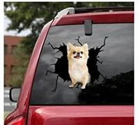 SANTPOT 25Cm (9,8In) Autocollants Chihuahua Mignons, Autocollant De Chien Drôle Pour Fenêtre De Voiture, Décor Aimant Pour Porte D'ordinateur Portable De Mur De Voiture, Cadeau D'Amant De Chiens