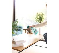 Sanytol - Désinfectant Multi-Usages - Parfum Eucalyptus - 500 ml - Bactéricide, Virucide, Fongicide - Sans Javel, Testé Dermatologiquement - Sans Rinçage