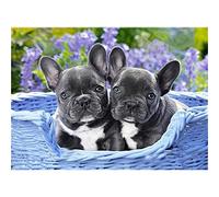 SanZez Kit de peinture diamant 5D à faire soi-même, kit complet de bouledogue français pour adultes, broderie strass 50 x 60 cm