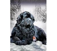 SanZez Kit De Peinture En Diamant 5D,Terre-Neuve Diamond Painting,broderie diamant kit complet plein pour Décoration Murale de Salon 30x40CM