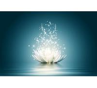 SanZez Lampe Lotus blanche 5D à faire soi-même, peinture diamant pour adultes, mosaïque de diamant, artisanat d'art, peinture complète ronde, 30x40cm