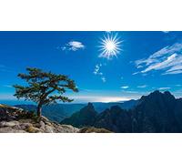 SanZez Paysage corse en France bricolage 5D diamant peinture par numéro Kits uniques décor mural maison cristal strass décoration murale point de croix 30x40 cm