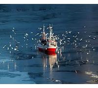SanZez Peinture diamant 5D, bateau de pêche et mouettes dans le Nord, kits d'art diamant pour adultes, kits de mosaïque en cristal pour décoration murale de la maison, 30 x 40 cm