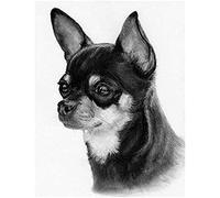 SanZez Peinture diamant 5D chien chihuahua noir et blanc pour adultes, kit de mosaïque en cristal pour décoration murale de la maison, 40 x 40 cm