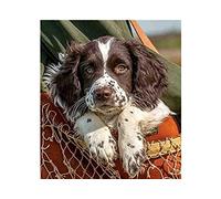 SanZez Peinture diamant 5D, chien Springer Spaniel chiot, kits d'art diamant pour adultes, kits d'artisanat en cristal mosaïque pour décoration murale de la maison, 30x40 cm