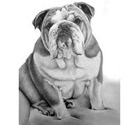 SanZez Peinture Diamant 5D Complet,Diamond Painting Animaux Personnalisé Adulte,Chien Bouledogue Anglais Kit De Peinture Diamantée Diy Pour Enfants,Décoration Murale D'Intérieur Avec Outils 30x40CM