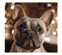 SanZez Peinture diamant, bouledogue français, kits d'art diamant 5D pour adultes, kits d'artisanat en cristal mosaïque pour décoration murale de la maison, 40x50cm