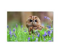 SanZez Peinture diamant ， Chouette hulotte, oiseau dans les fleurs bleues ， Broderie diamant rond complet au point de croix couture diamant mosaïque strass décoration d'intérieur 30x40 cm