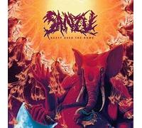Sanzu - Heavy Over The Home [New Vinyl LP]