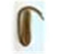 Saphir Lacets Cordelet Marron Moyen 120 cm