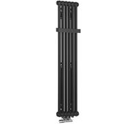 Sapho Fede radiateur de salle de bain décoratif 150x30.6 cm noir IR191