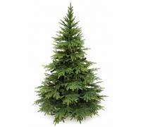 Sapin de Noël Caucase artificiel 220 cm en PE+PVC avec socle métal