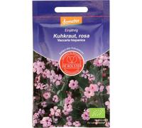 Saponaire des Vaches Rose Bio - 4 g