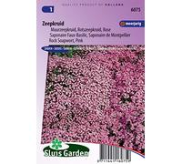 Saponaire Faux-Basilic/de Monpellier Rose-Pink - Graines De Fleurs Vivaces