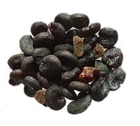 Saponaire Officinale - 50 graines - Saponaria Officinalis - SEM05