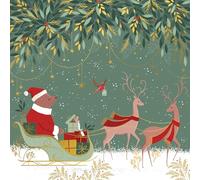 Sara Miller Lot de 8 cartes de Noël Motif ours du Père Noël