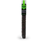 Sarabar - Voatsiperifery - Poivre Sauvage - Madagascar- Tube 40ml 12gr