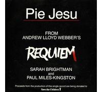 Sarah Brightman & Paul Miles-Kingston - Pie Jesu