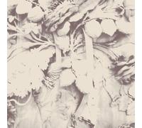 Sarah Davachi Figures In Open Air (CD)
