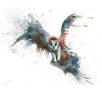 Sarah Stokes AFWDC92327 Toile Imprimée, Bois Dense, Multicolore, 30 x 40 cm