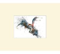 Sarah Stokes (Eric in Flight 24 x 30 cm montée d'impression