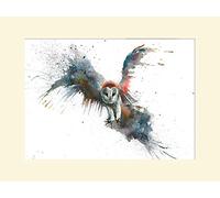 Sarah Stokes (Eric in Flight 30 x 40 cm montée d'impression