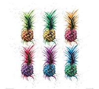Sarah Stokes (Pineapple Rainbow 60 x 60 cm Toile Imprimée