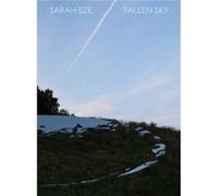 Sarah Sze Fallen Sky Sarah Sze Fallen Sky (Auteur)