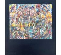 Sarah Sze : paintings Mark Godfrey (Auteur)