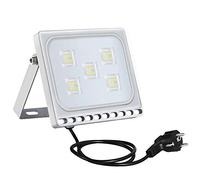Sararoom 30W Projecteur LED Extérieur avec prise - IP65 Imperméable Spot LED Extérieur 3000LM 6500K Blanc froid Lampe Floodlight Idéal pour Jardin Garage Couloir Cour Terrasse Square éclairage