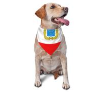 Saratov Drapeau Bandana Triangle Echarpe pour Chat Chien Réglable