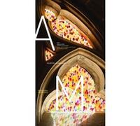 Sarkis à Cluny - La pluie, avec les couleurs de l'arc-en-ciel, résonne dans la chapelle Anne Marquez (Auteur)