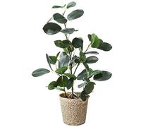SAROSORA Ficus Artificiel dans Un Pot tissé, 50,8 cm de Hauteur pour décoration de Salon, intérieur, Bureau (Vert, 1)