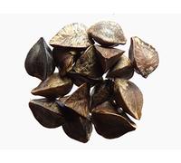 Sarrasin - Fagopyrum Esculentum (Engrais Vert) SEM05 (100 grammes)