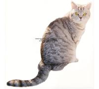 What I Am & What I''M Not