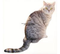 Sarter Kit - What I Am And What I'm Not [Vinyl Lp]