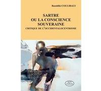 Sartre ou la conscience souveraine Bassidiki Coulibaly (Auteur)
