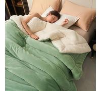 SARUEL Double Layer Thickened Lamb Plush Blanket, Winter Soft Thick Warm Bed Blankets, Solid Double-Layer Thickened Warm Bed Blankets (Green,200 * 230cm)
