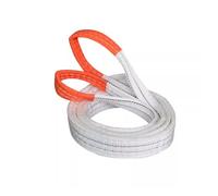 SaryEdge Sangles de Levage. Courroie de Levage Plate et résistante, Ceinture de Levage Industrielle 3T, 5T, 6T, Sangle de Levage renforcée, Corde pour remorque, Sangle d,3t-6M