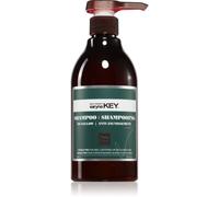 Saryna Key No Yellow shampoing neutralisant les reflets jaunes au beurre de karité 500 ml