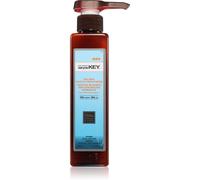 Saryna Key Styling & Finish après-shampoing sans rinçage 300 ml