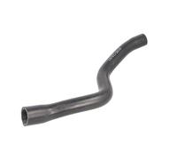 Sasic Durite de radiateur 3406358 droite supérieure